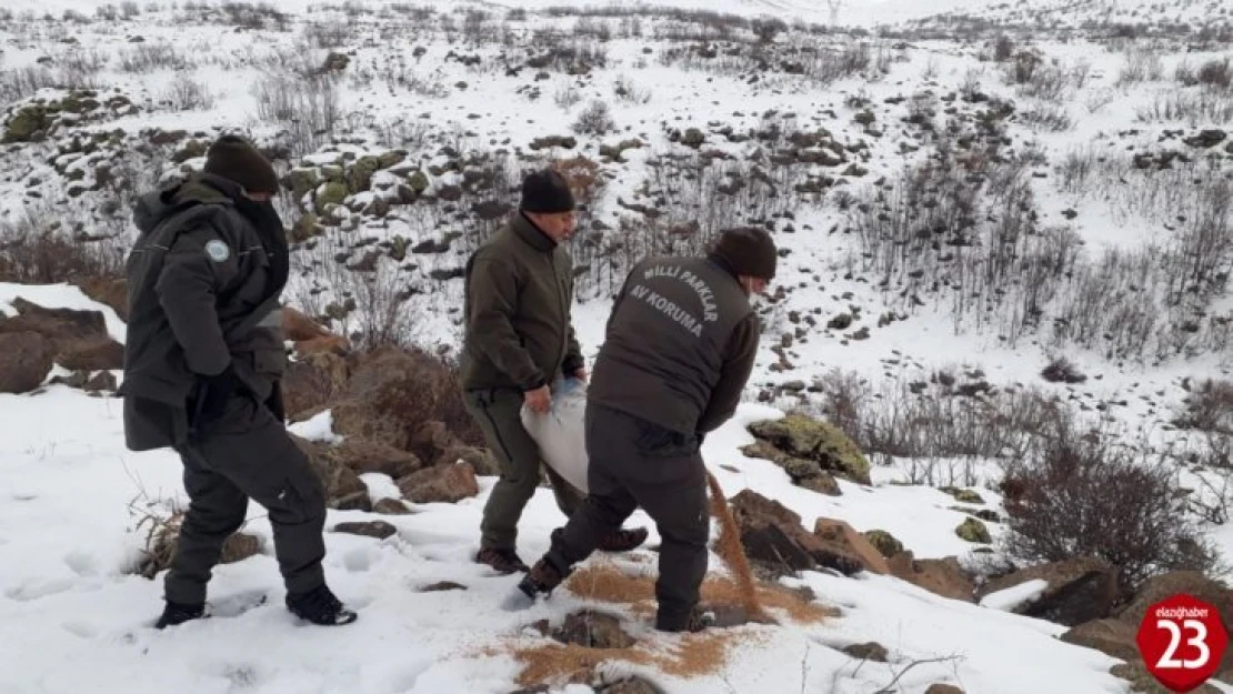 Elazığ'da yaban hayvanları için doğaya yem bırakıldı