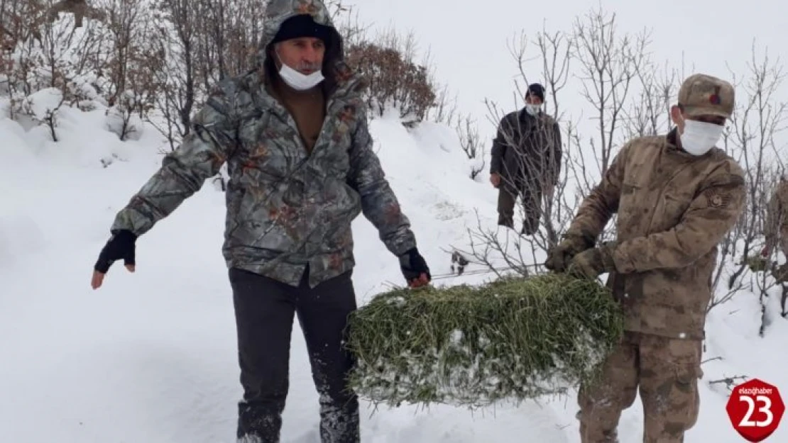 Elazığ'da yaban hayvanları için doğaya yem bırakıldı