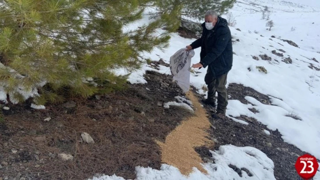 Elazığ'da yaban hayvanları için doğaya yem bırakıldı