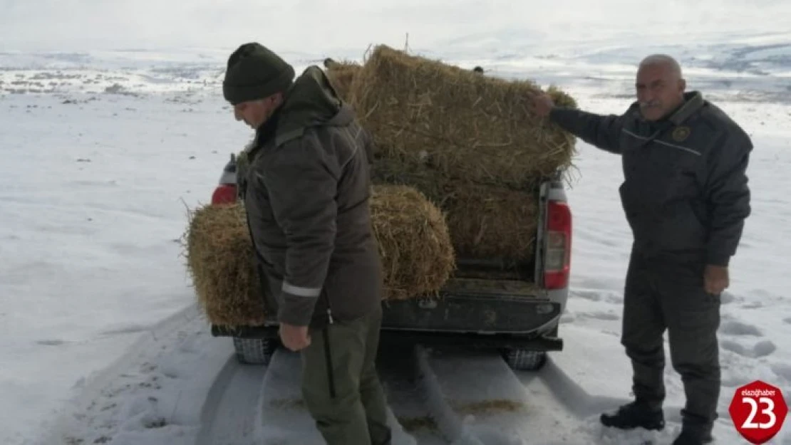 Elazığ'da yaban hayvanları için doğaya yem bırakıldı