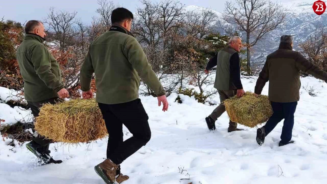 Elazığ'da Yaban Hayvanları İçin 850 Kilo Yem Bırakıldı