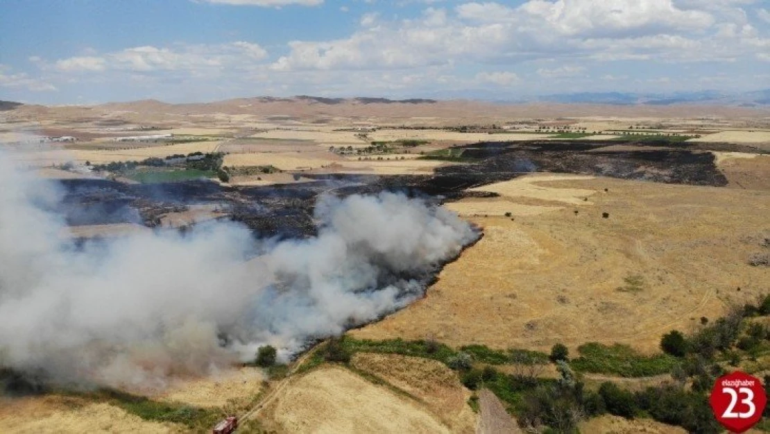 Elazığ'da yangın saatler sonra kontrol altına alındı, 800 dönüm ekili arazi kül oldu