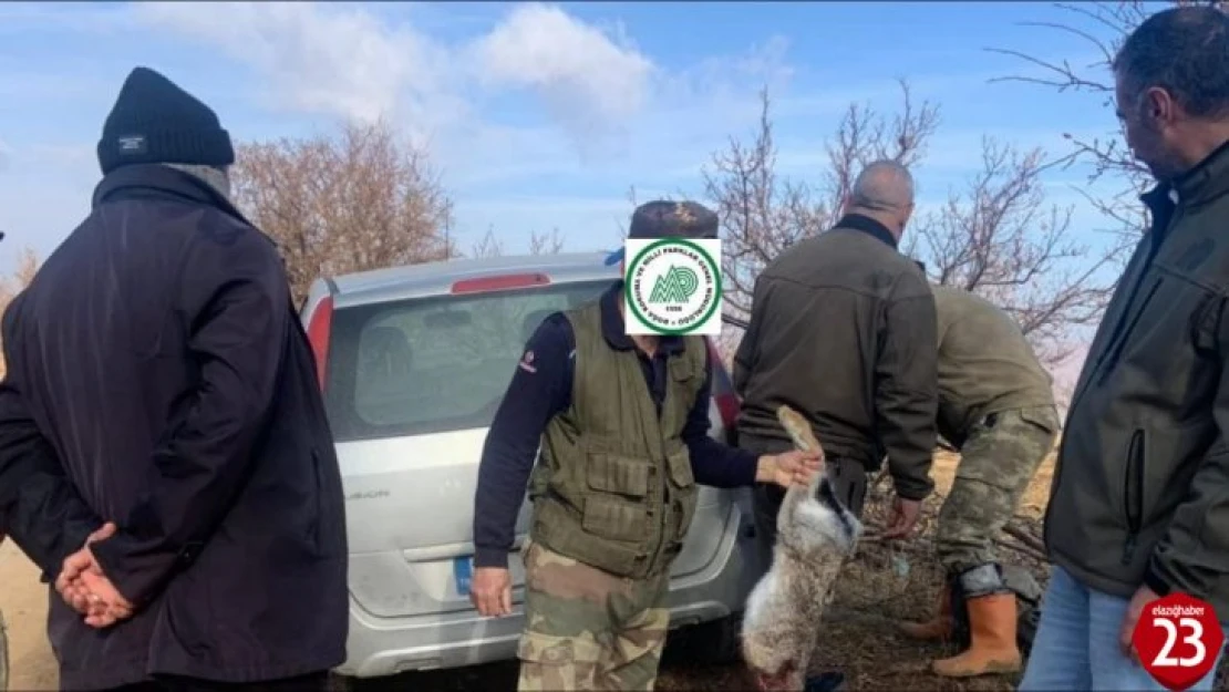 Elazığ'da yasa dışı avcılık yapan 4 şahsa idari işlem uygulandı