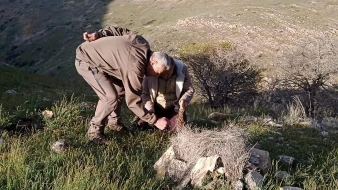 Elazığ'da yasa dışı avcılık yapan 1 kişiye idari işlem uygulandı