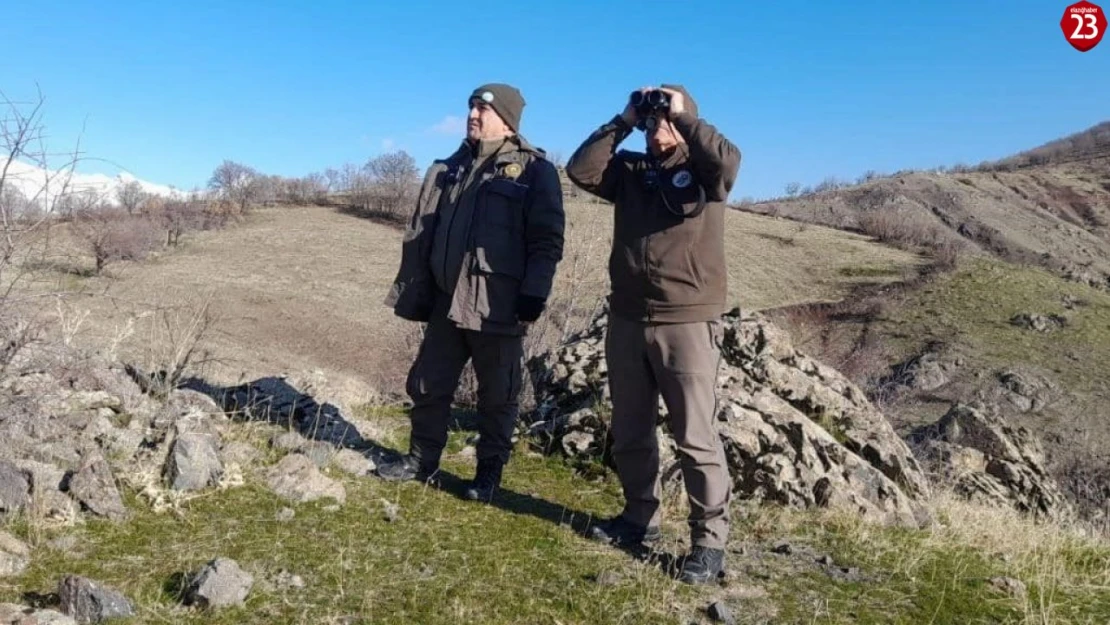 Elazığ'da Kaçak Avcılara İdari İşlem! Denetimler Devam Ediyor