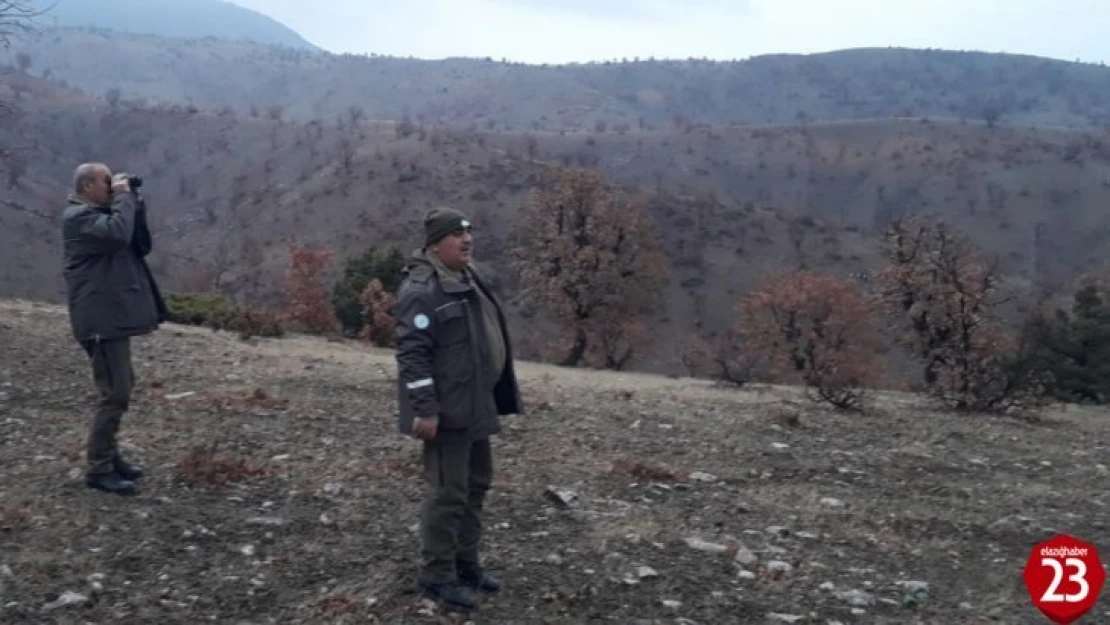 Elazığ'da yasa dışı avlanan kişiye idari işlem yapıldı