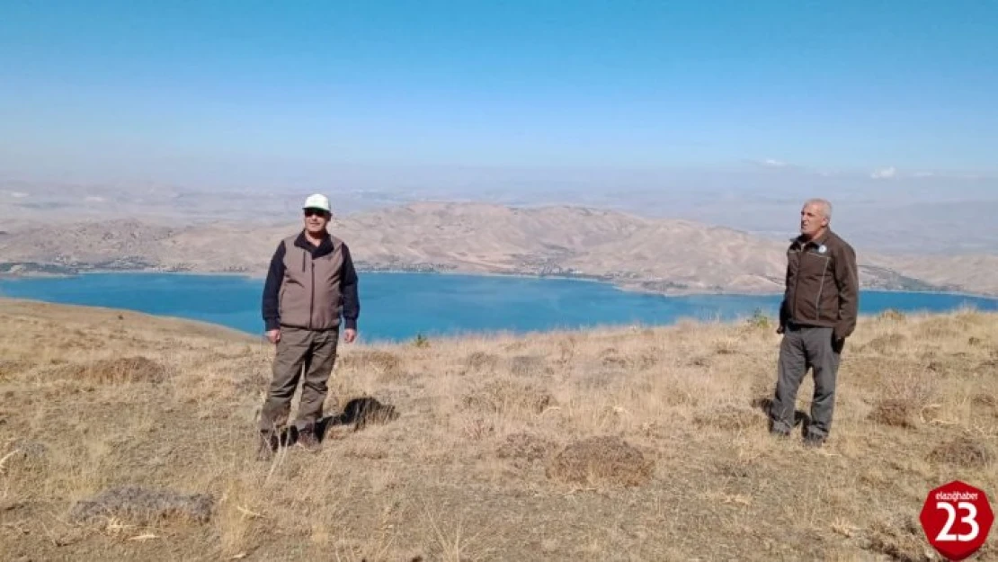 Elazığ'da yasadışı avcılık yapan şahsa ceza