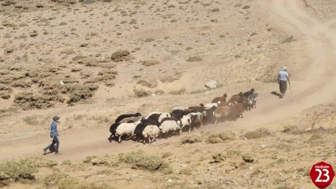 Elazığ'da yaylacılar dönüş hazırlığına başladı