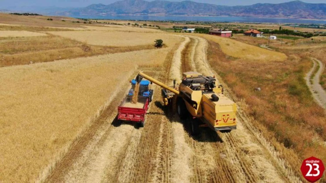 Elazığ'da Yılın İlk Arpa Hasadı Gerçekleştirildi