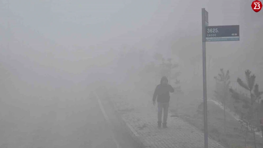 Elazığ'da yoğun sis etkili oldu, bir mahalle adeta kayboldu