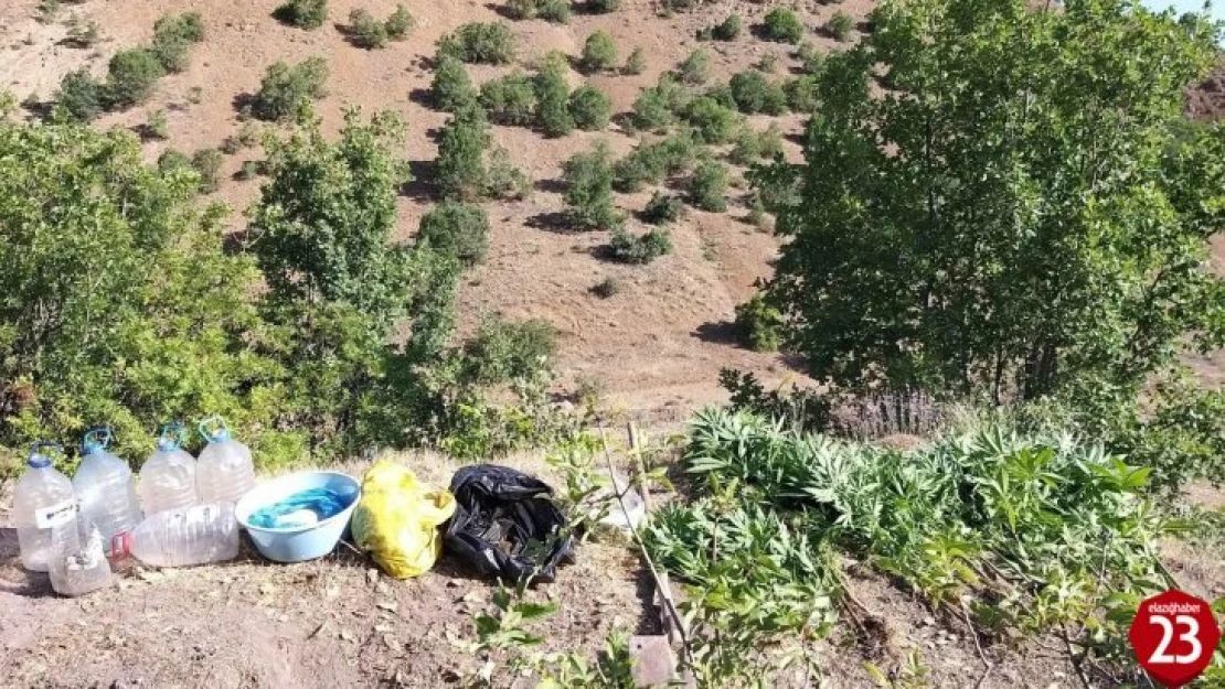 Elazığ'da Jandarmadan Operasyon, 17 Kilo Esrar Ele Geçirildi