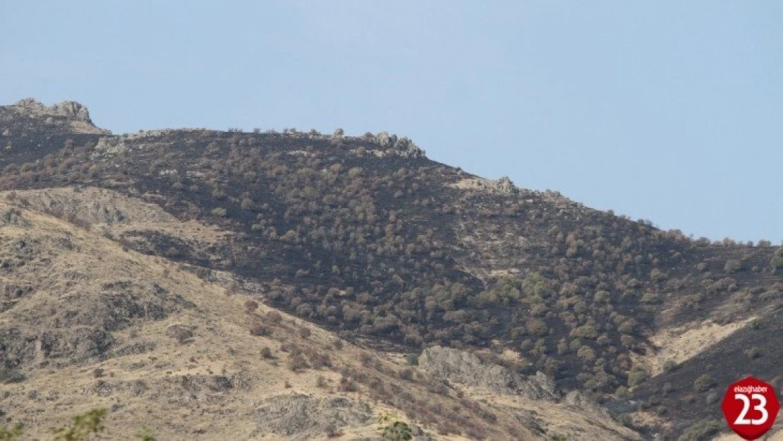 Elazığ'daki  orman yangını söndürüldü