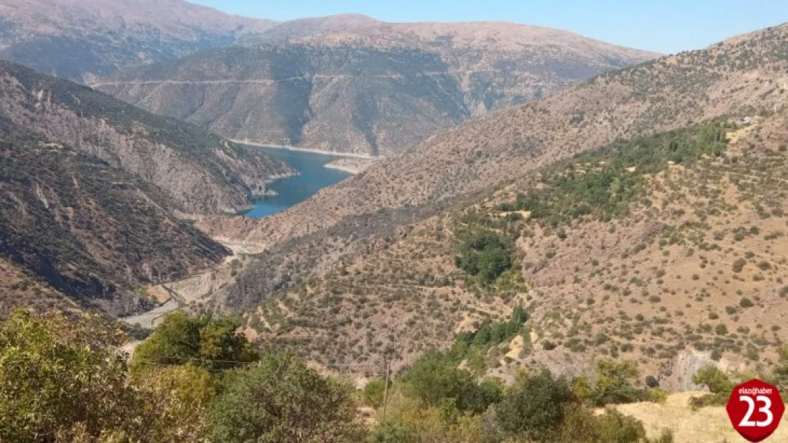 Elazığ'daki orman yangını söndürüldü