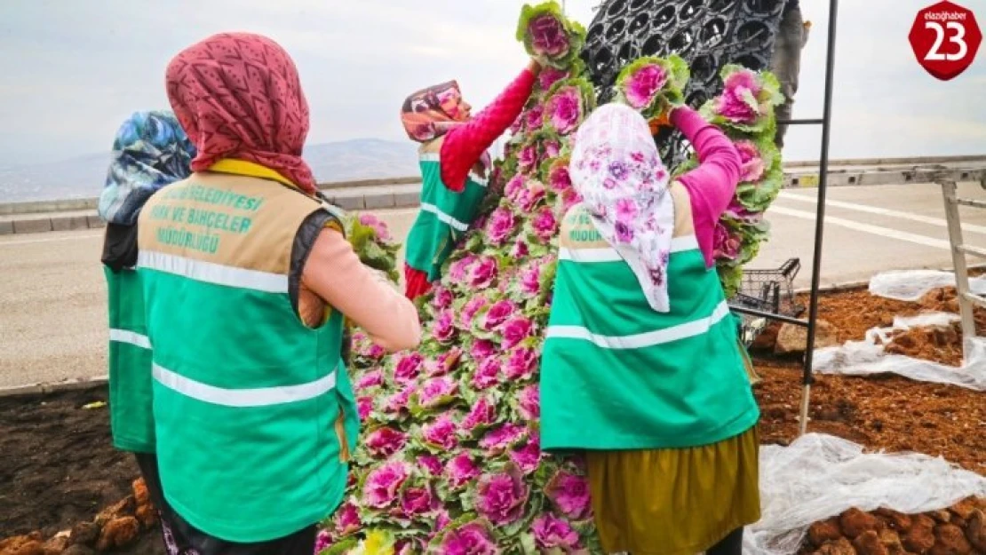 Elazığ dikey bahçelerle renkleniyor