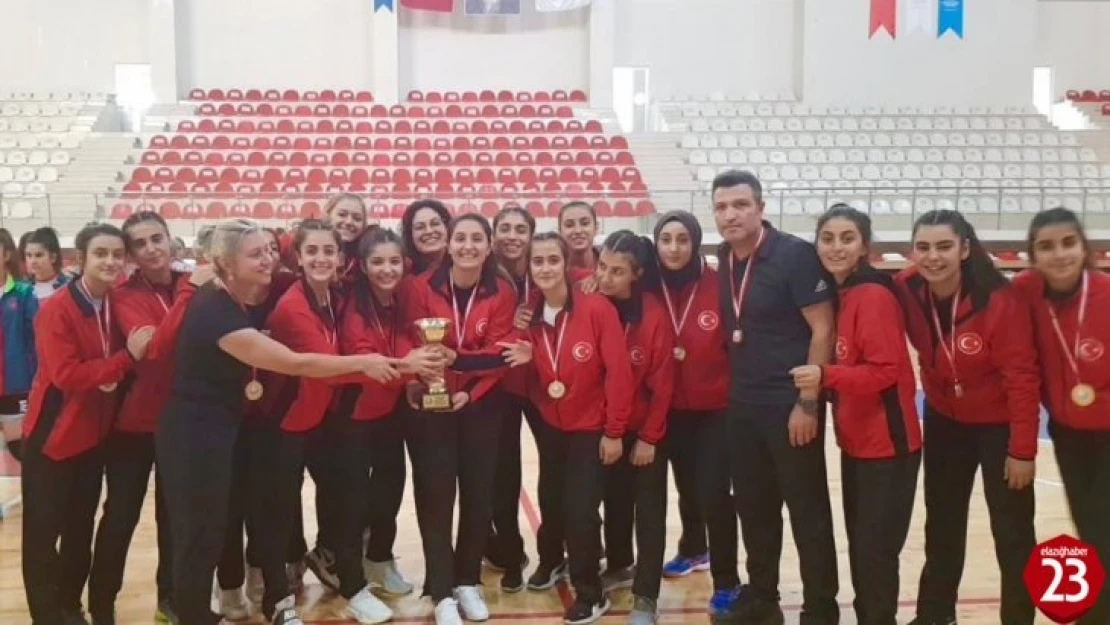 Elazığ Gençlik ve Spor Kulübü, 2. Lig'de