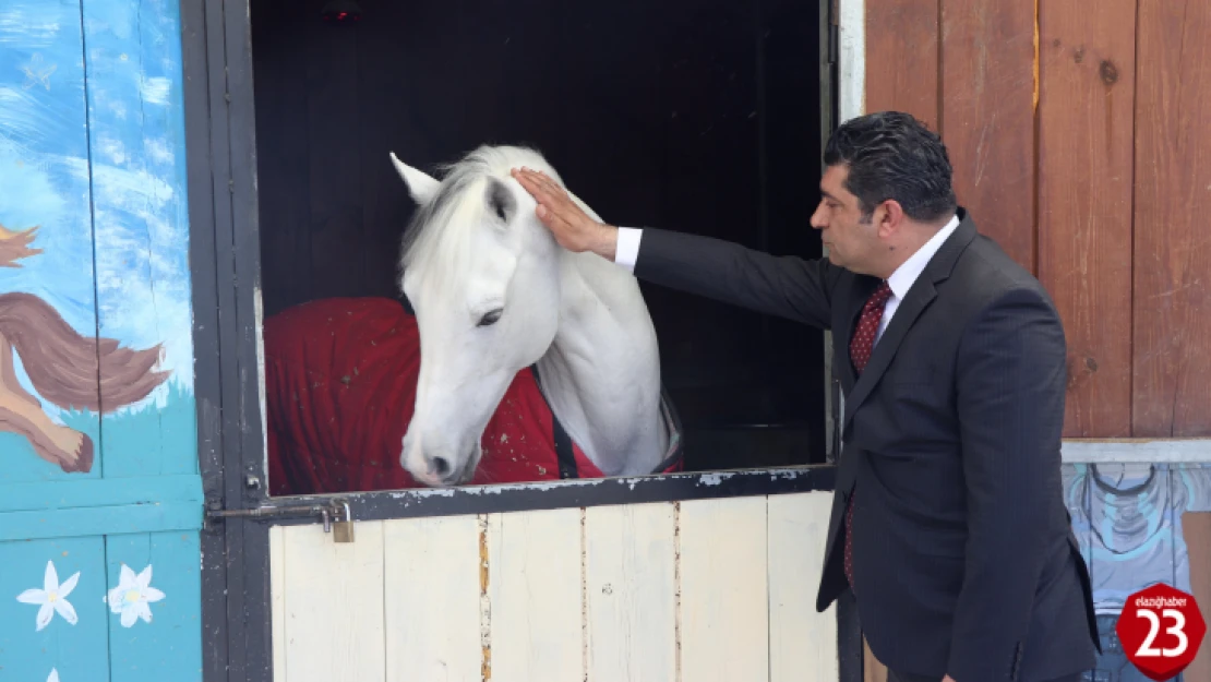 Elazığ Hipodromu 12 Nisan'da Açılacak