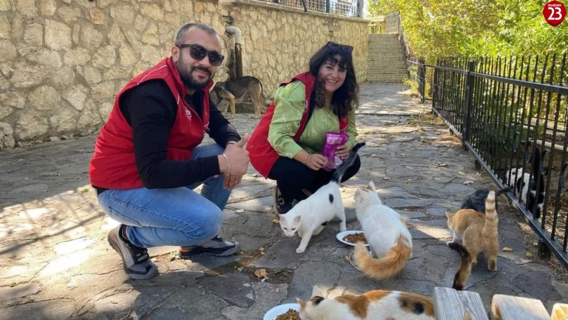 Elazığ'ın genç gönüllülerinden sokak hayvanlarına mama desteği