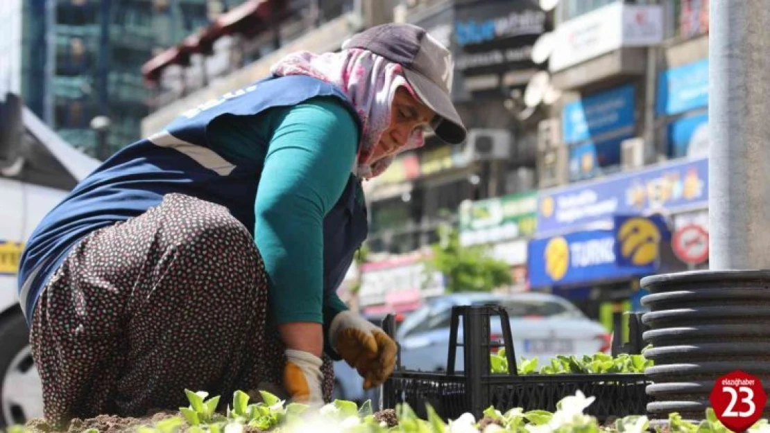 Elazığ, kadın eliyle güzelleşiyor