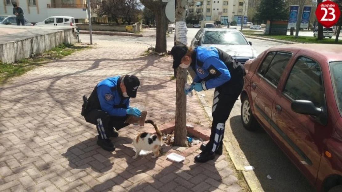 Elazığ polisi, sokak hayvanları için görevde