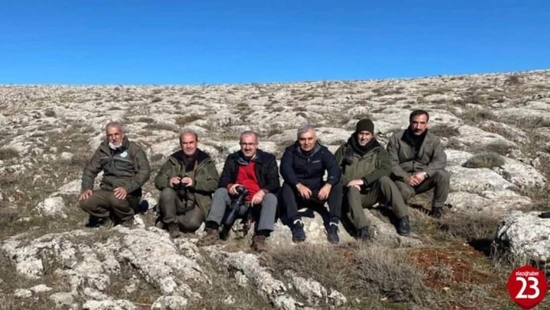 Elazığ Valisi Toraman, dağ keçilerini izleme çalışmasına katıldı