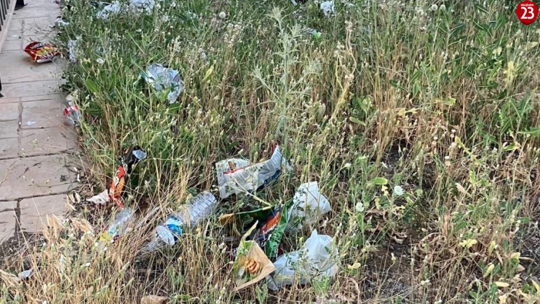 Elazığ Yemişlik TOKİ'de Tepki Çeken Aidat: Temizlik Yok, İlgi Yok Ama 1000 TL Aidat Var!