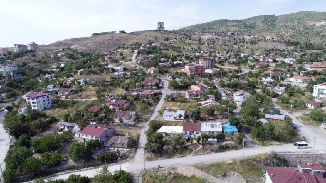 Elazığ'da Köpeklerin Saldırdığı Kadının Öldüğü Mahallede Tedirginlik