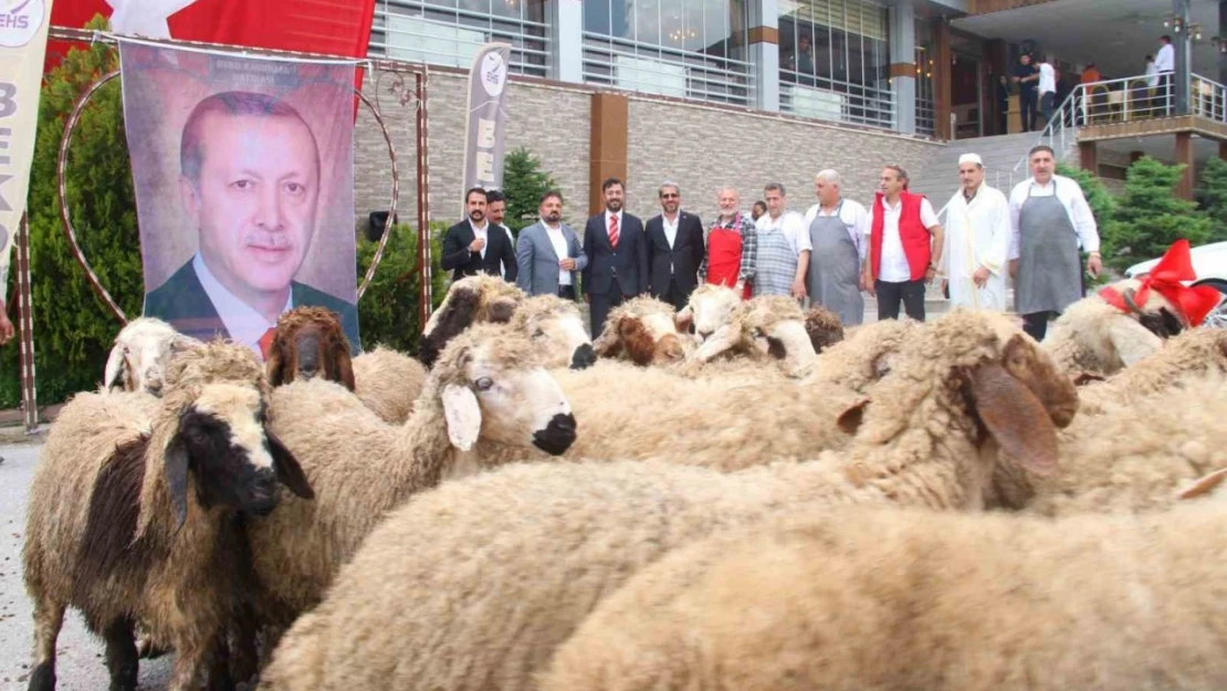 Elazığlı iş adamı, yeniden seçilen Cumhurbaşkanı Erdoğan için 20 adak kurbanı kesti