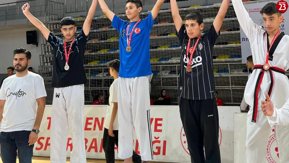 Elazığlı Taekwondocular Anadolu Yıldızlar Ligi'nde Büyük Başarı Elde Etti