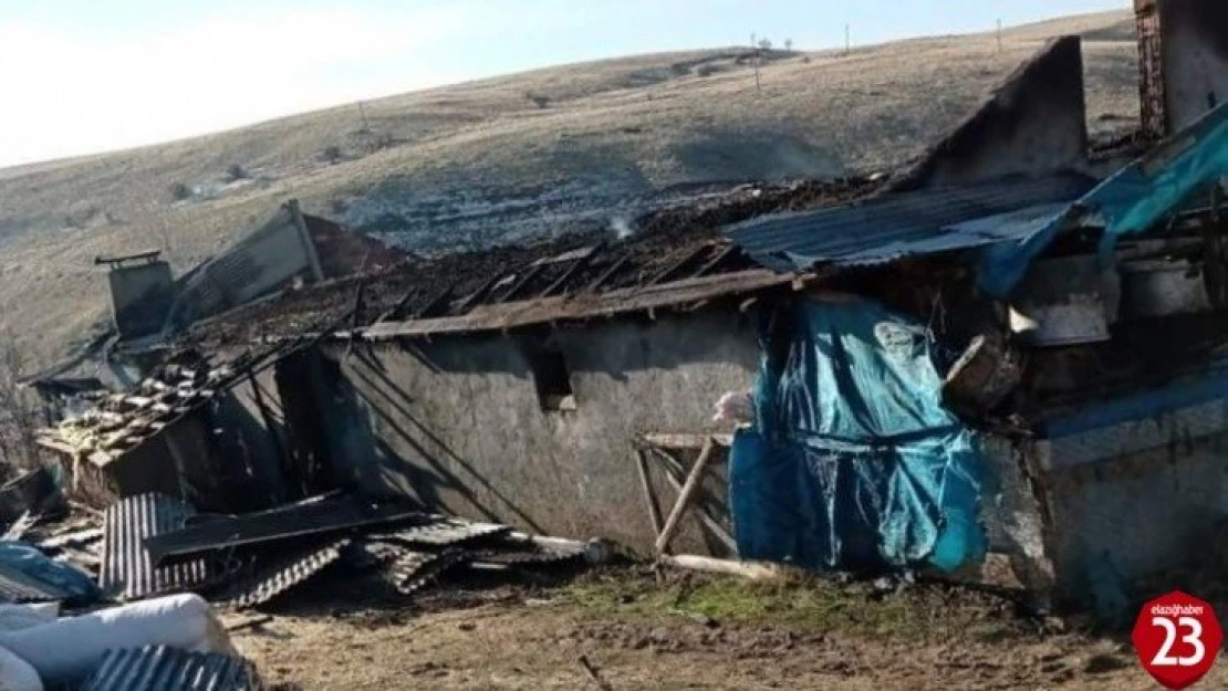 Elektrik kontağından çıkan yangın, 12 hayvanı telef  etti