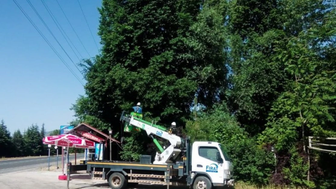 FIRAT EDAŞ'tan Ağaç Kesme ve Budama Uyarısı