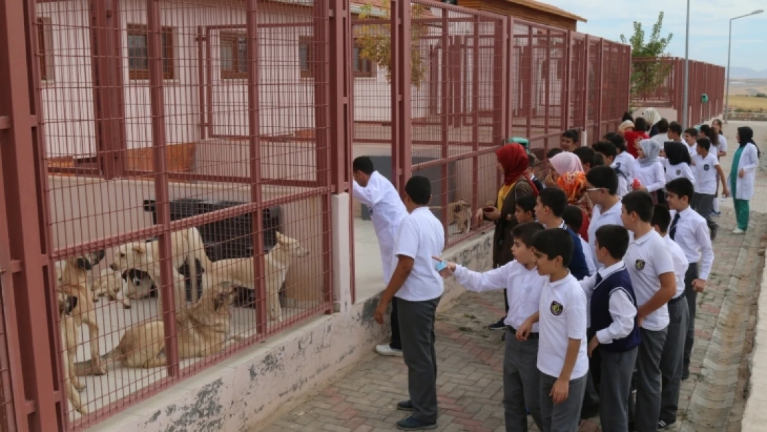 Türkiye'nin En Modern Hayvan Hastanesi Elazığ'da