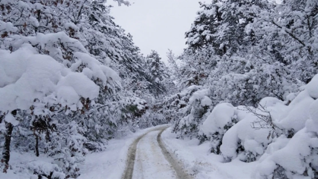 Meteorolojiden Tunceli ve Bingöl İçin Kar Uyarısı Yapıldı