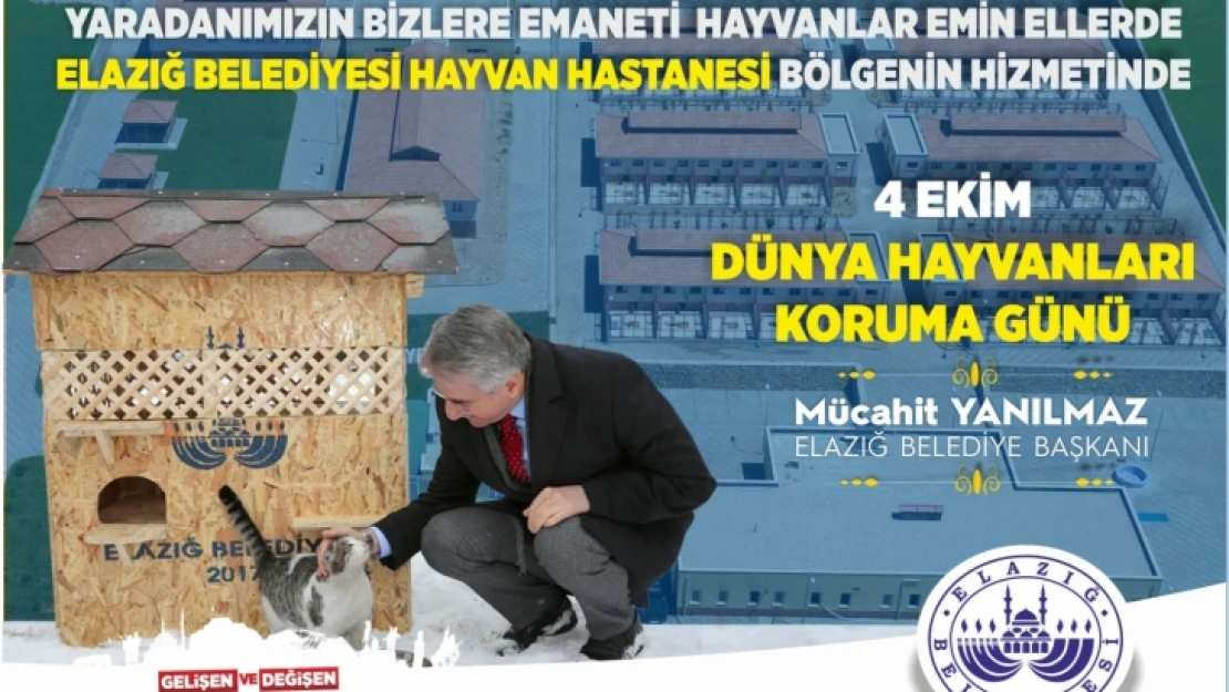 Merhamet ve Şefkat Elimizle Küçük Dostlarımızı Yalnız Bırakmayacağız