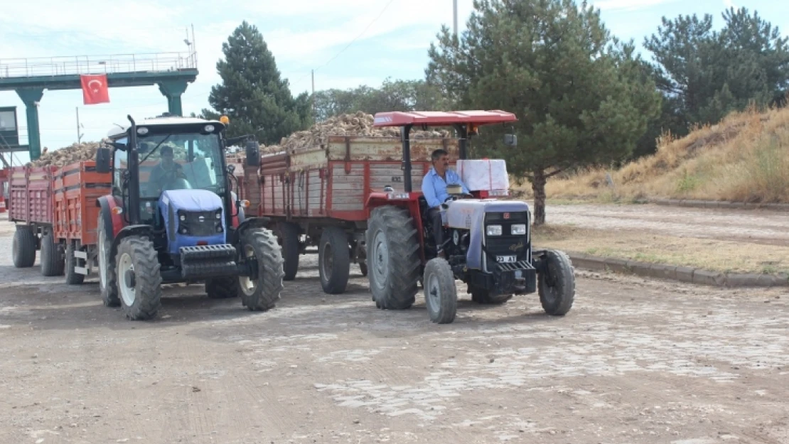 Elazığ'da Pancar Alım Kampanyası Başladı