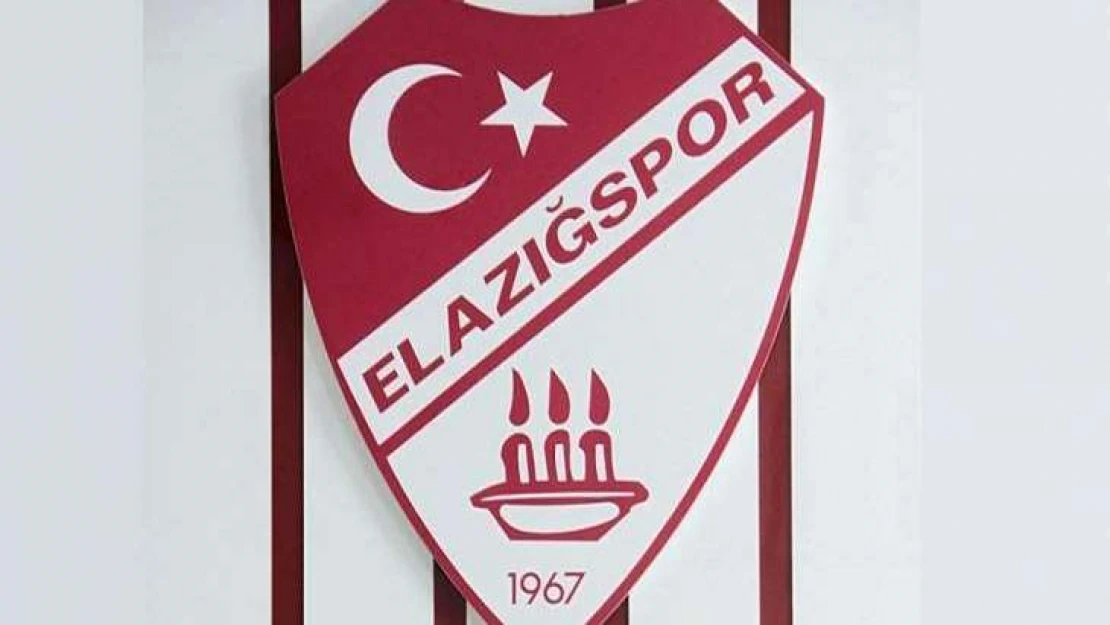 Elazığspor'da İşler İyi Gitmiyor, 2 Yönetici Daha İstifa Etti