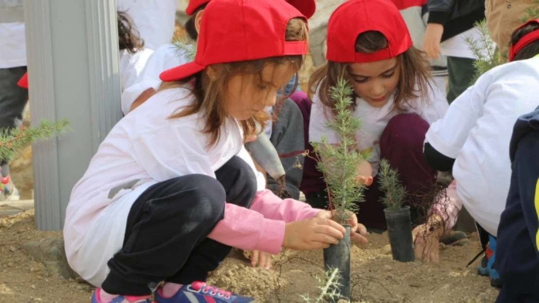 Yeşilin Dokusu Cip Mesire Alanında Canlanmaya Devam Ediyor