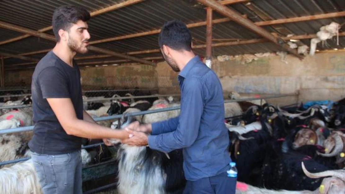 Elazığ'da Kurban Pazarında Yoğunluk