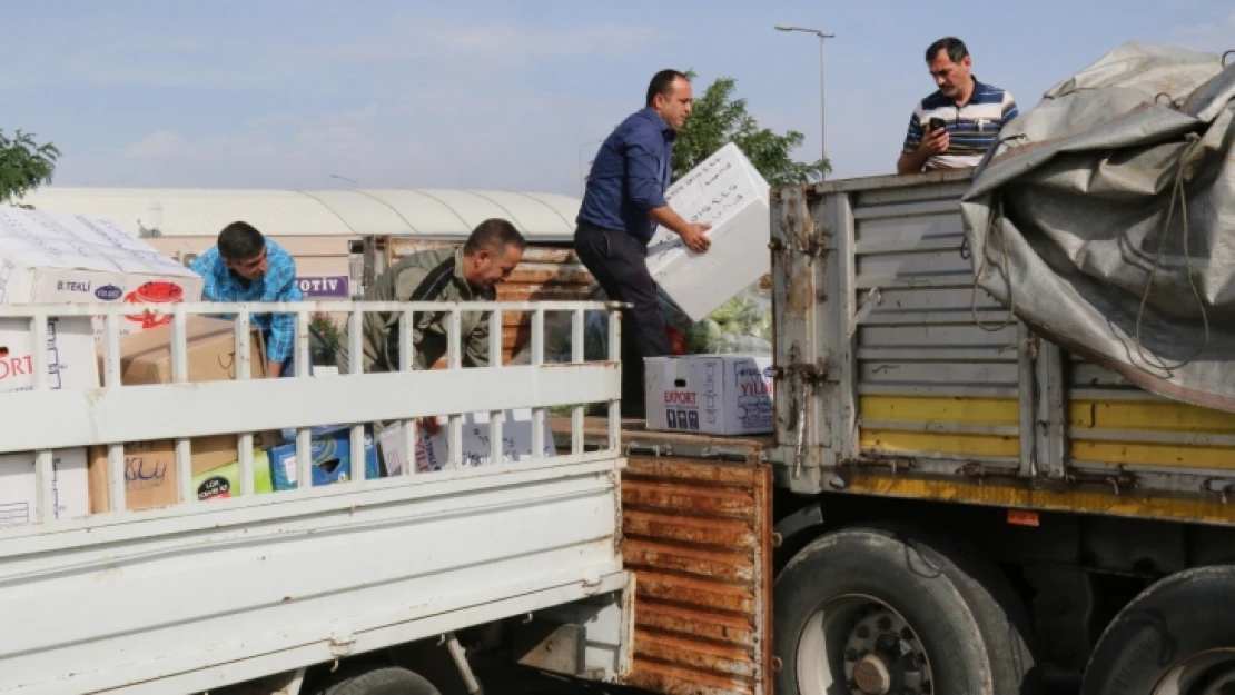 Elazığ İstanbul'a Taşınıyor