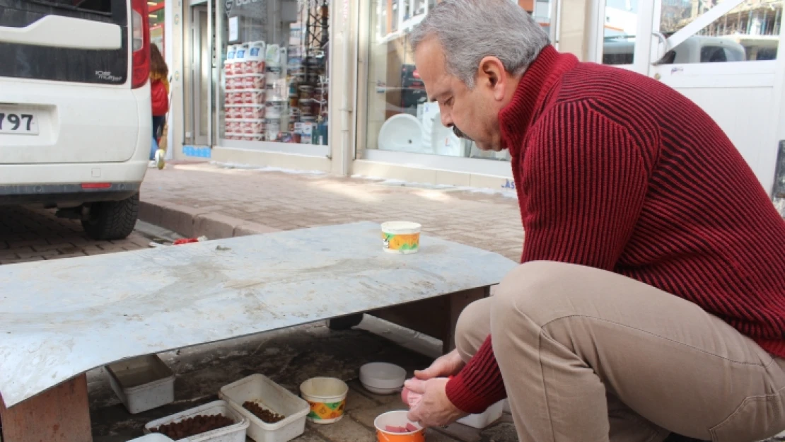 Elazığlı Bu İşte, Esnaf Sokak Hayvanlarına Sahip Çıkıyor