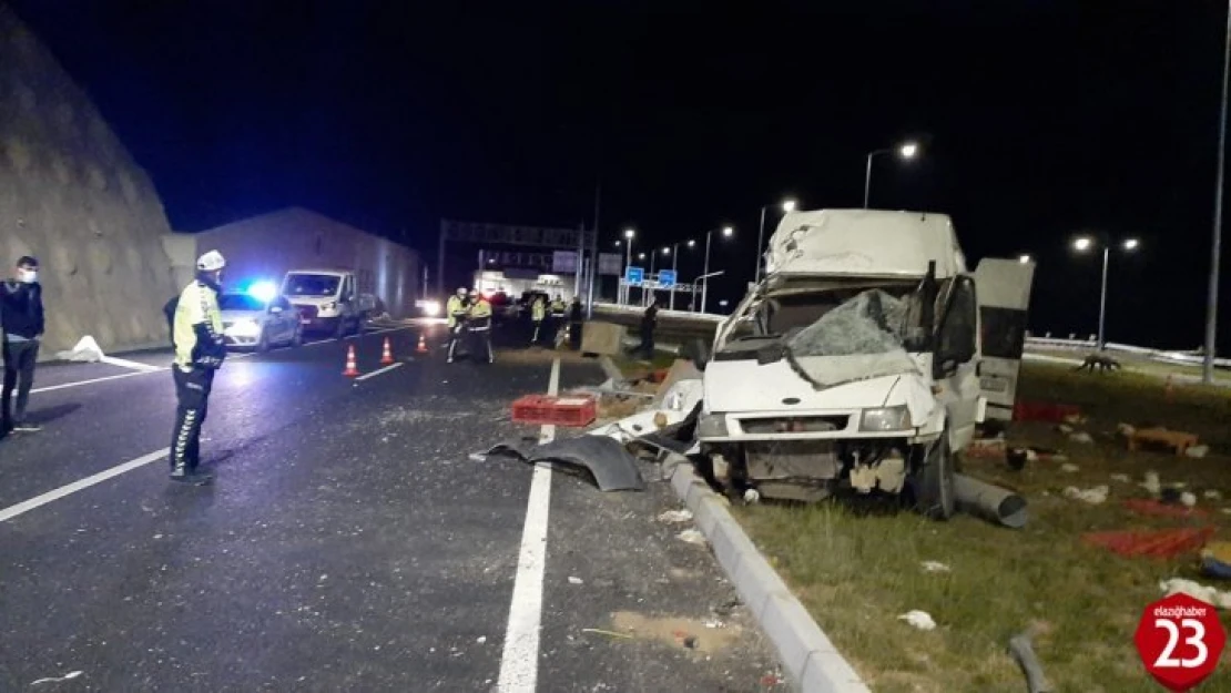 Hayvanları taşıyan minibüs refüje çıkıp aydınlatma direğini devirdi: 1'i ağır 2 yaralı