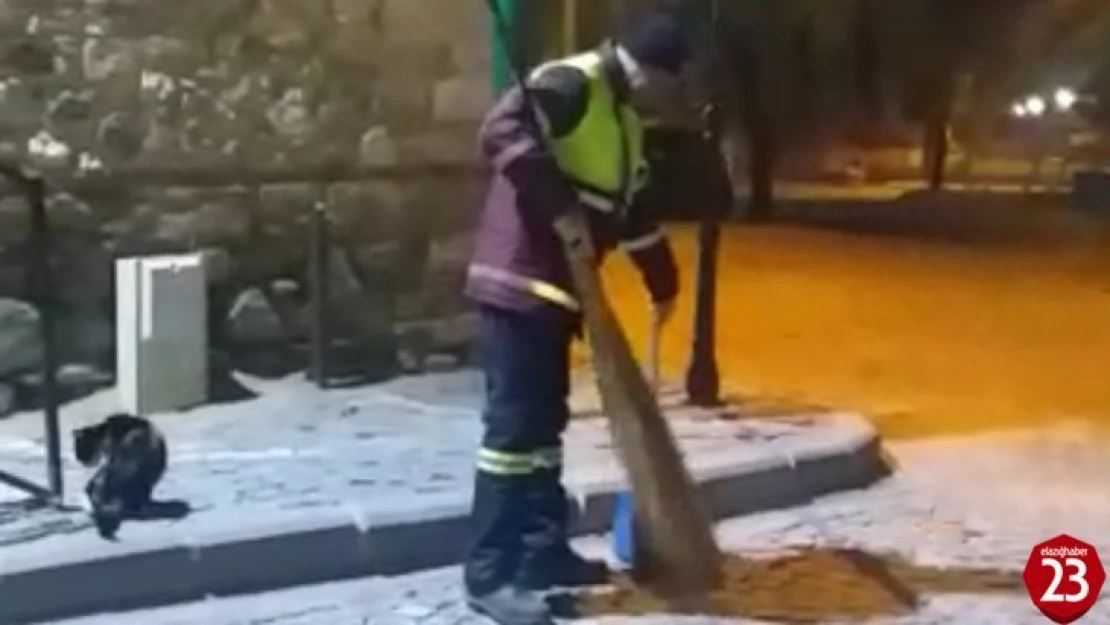 Hem çevreyi temizliyor hem de sokak kedisine süpürgesi ile masaj yapıyor