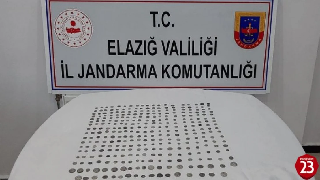 Jandarma alıcı kılığına girdi, Roma ve Bizans dönemine ait 325 tarihi eser ele geçirdi