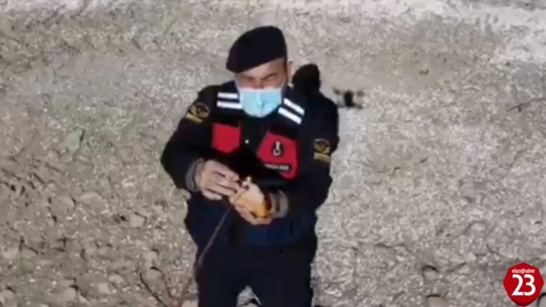 Jandarma yaban keçilerine saman, balıklara drone ile ekmek bıraktı