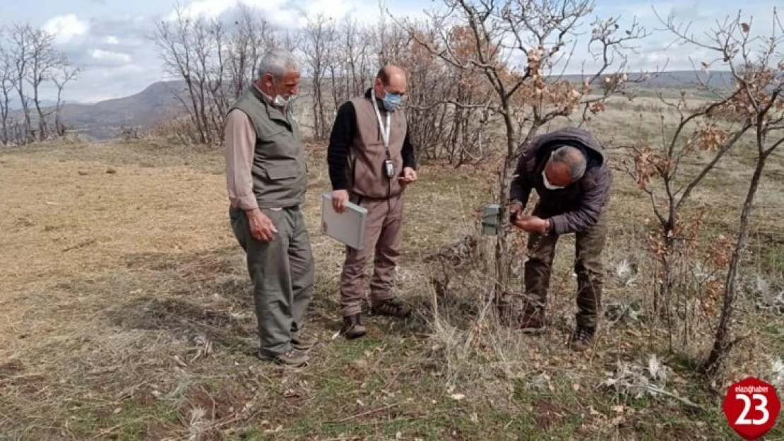 Kaçak ava karşı foto kapanlar kuruldu, kaçak meterisler yıkıldı