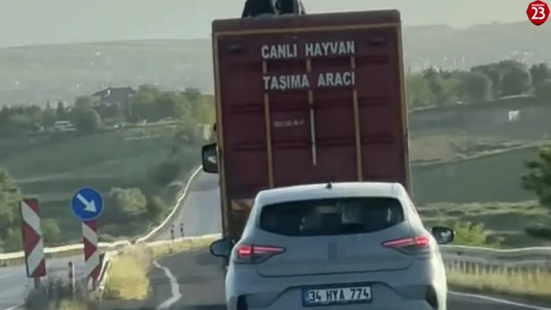 Kamyonun üzerinde tehlikeli yolculuk kamerada