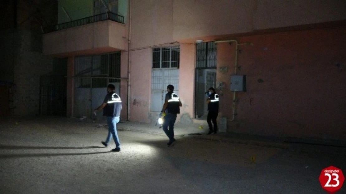 Kardeşi vurmuştu, 87 gün sonra hayatını kaybetti
