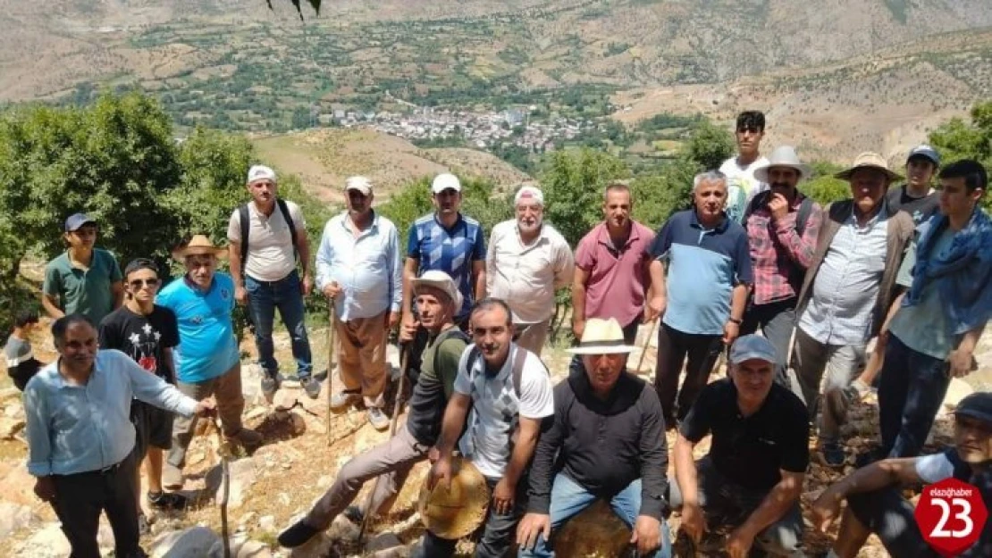 Kaymakam Ardıç gençlerle birlikte doğa yürüyüşü yaptı