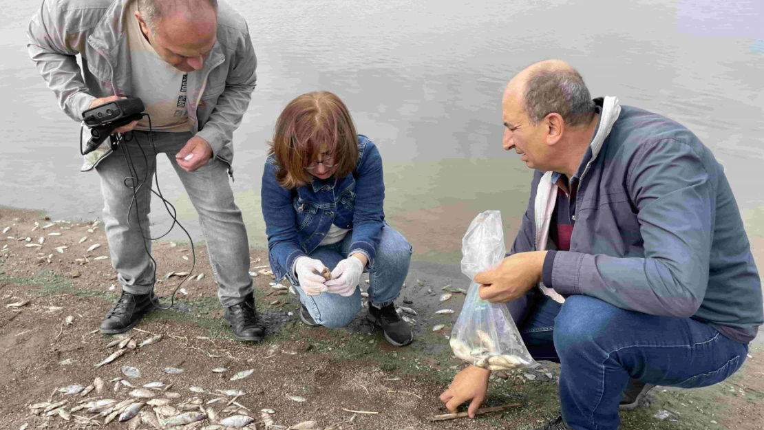 Keban Baraj Gölündeki Balık Ölümleriyle İlgili İnceleme Başlatıldı