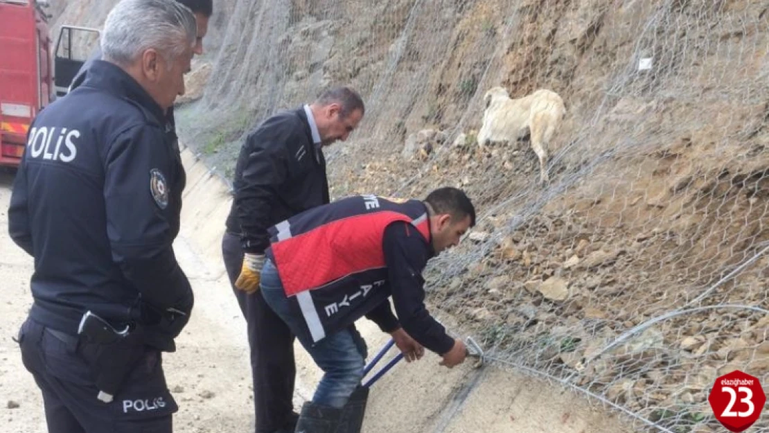 Keban'da İtfaiye Ekipleri Koruma Ağında Mahsur Kalan Köpeği Kurtardı