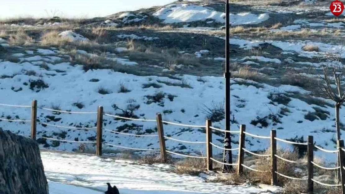 Tarihi Harput-Hüseynik Yolunda Kekliklerin Kar Altındaki Mücadelesi